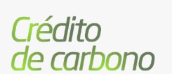 Crédito de Carbono para Empresas: como começar com segurança e evitar promessa fácil
