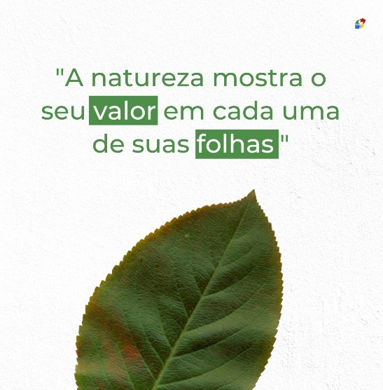 Por que o descarte correto é um compromisso com o meio ambiente?