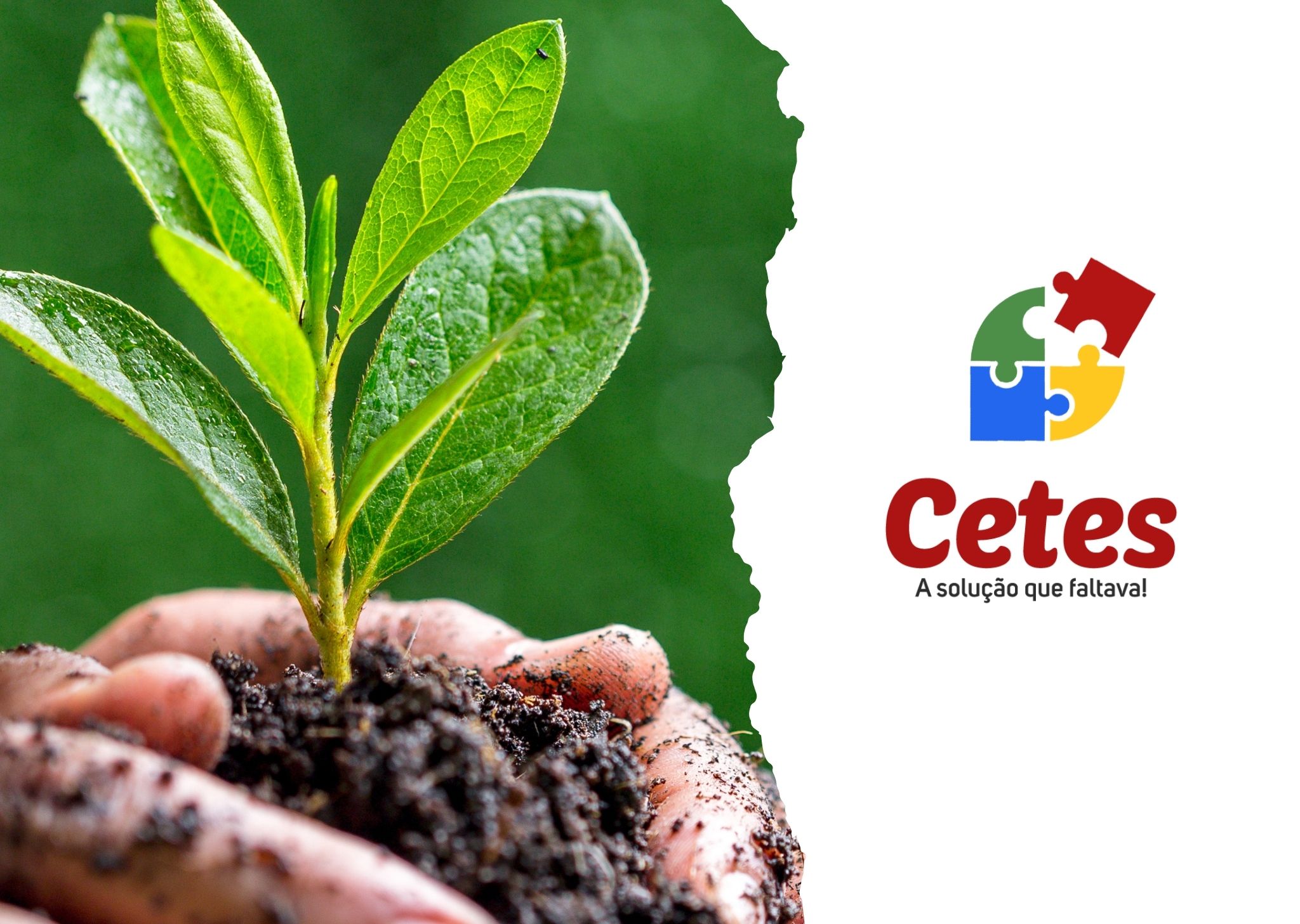 Licenciamento ambiental para empresas